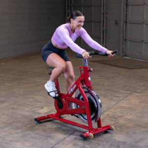 stamina exercise bike