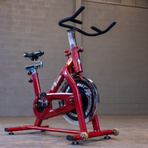 stamina exercise bike for Weight Loss