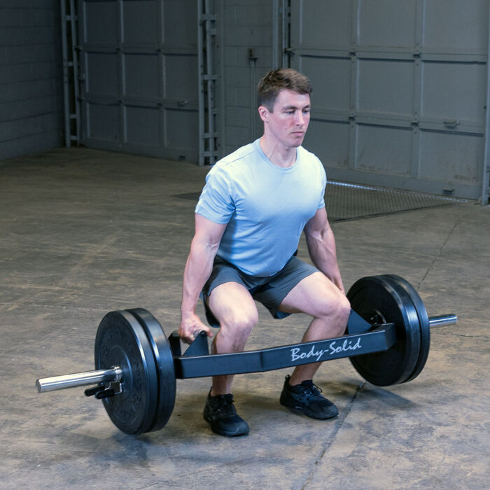 trap bar with weights​